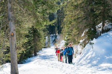 Aventure alpine hivernale à Isenfluh avec déjeuner